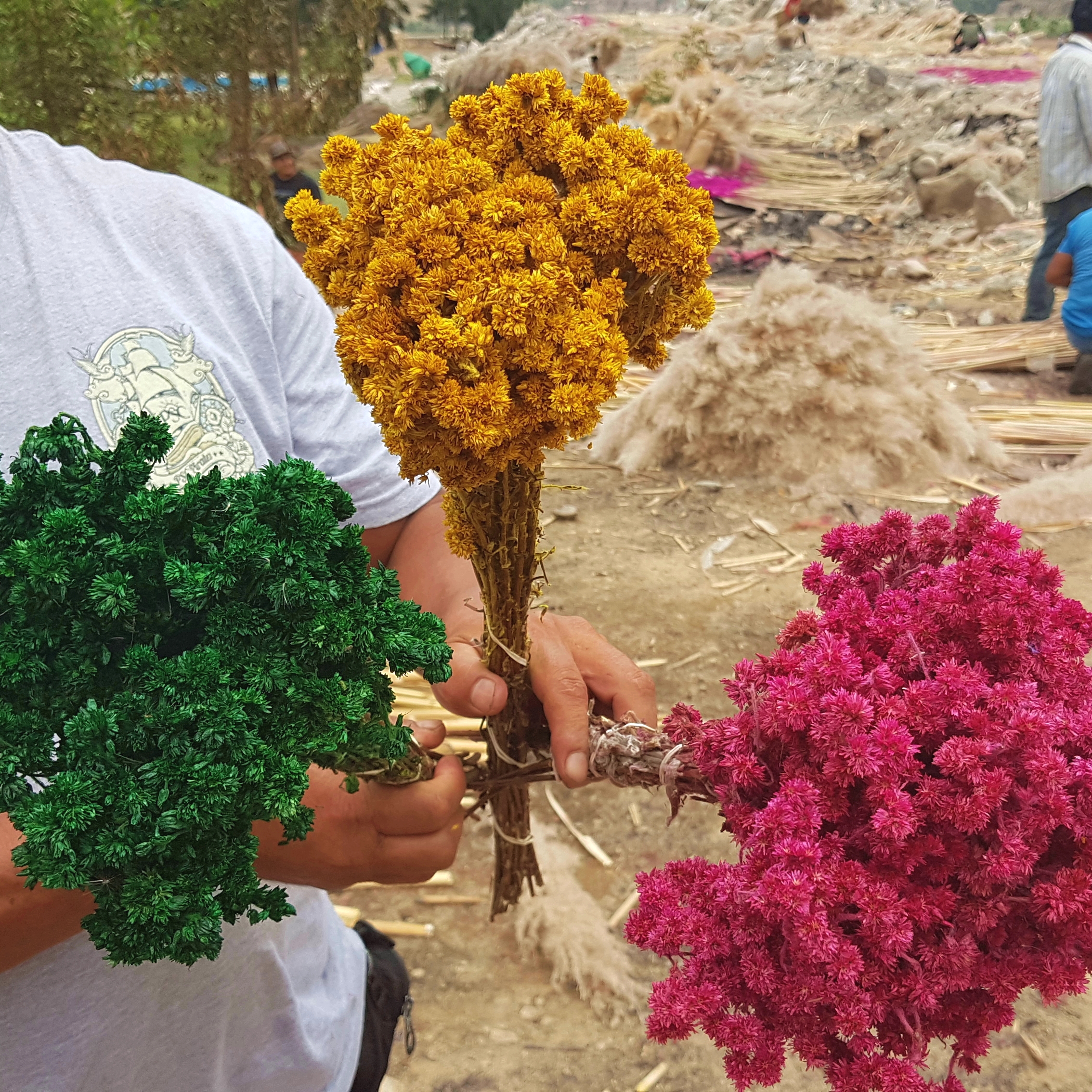 Impressionen 6 Peru Direktimport Fantasia Blumen